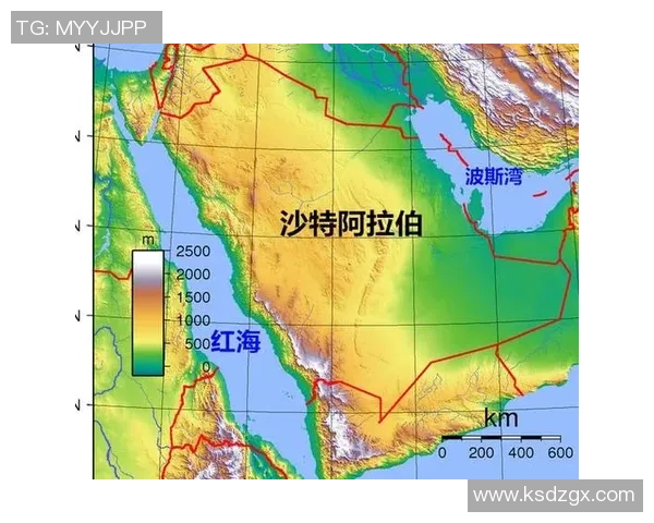 沙特阿拉伯与伊朗的地缘政治博弈及其对中东局势的影响分析
