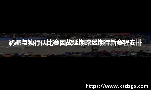 鹈鹕与独行侠比赛因故延期球迷期待新赛程安排